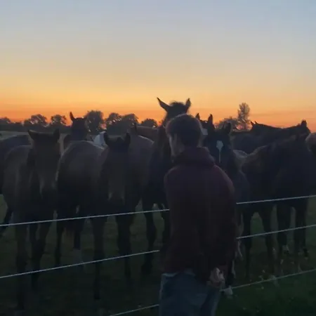 Horse Truck Tiny With Hot Tub